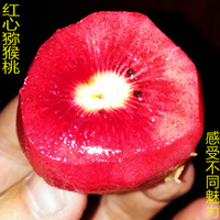 紅心獼猴桃團(tuán)購(gòu)_淘寶紅心獼猴桃團(tuán)購(gòu)_紅心獼猴桃團(tuán)購(gòu)熱賣(mài)-愛(ài)淘寶