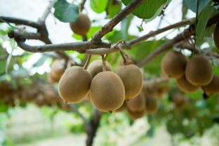 鎮(zhèn)街子網(wǎng)::蕭山網(wǎng)