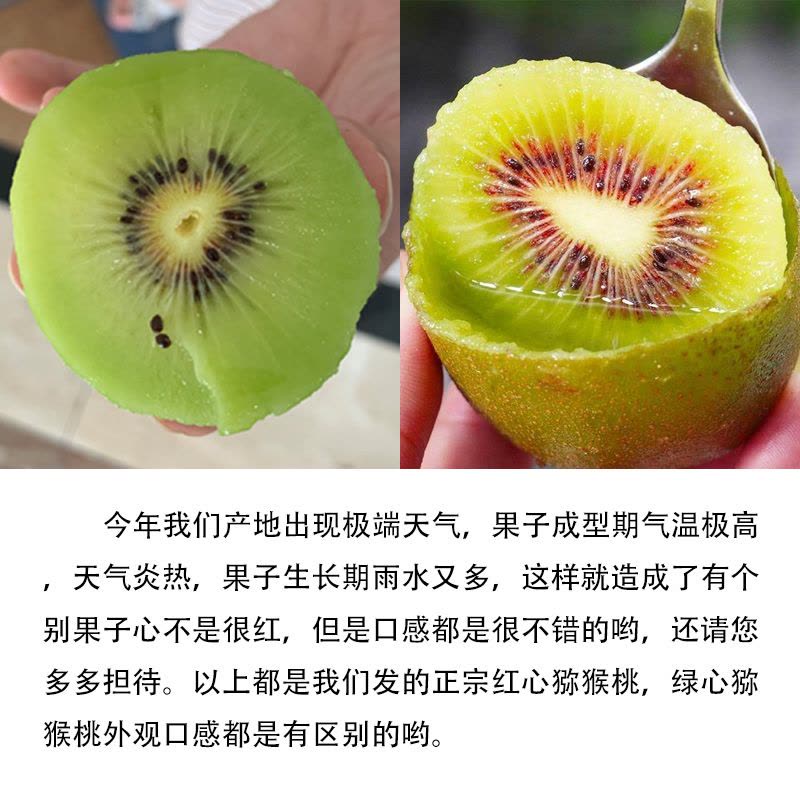 [西沛生鮮]四川紅心獼猴桃10枚裝(單果90-100g大果) 獼猴桃奇異果 四川紅心獼猴桃