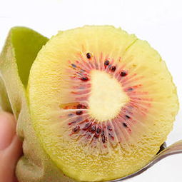 最新商品 自然之靈旗艦店