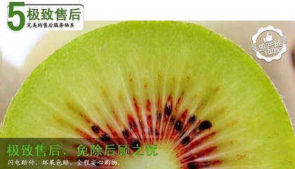 現貨蒲江紅心獼猴桃 奇異果/20個新鮮水果_漿果類_新鮮水果_農產品種植_商城_中國易農網