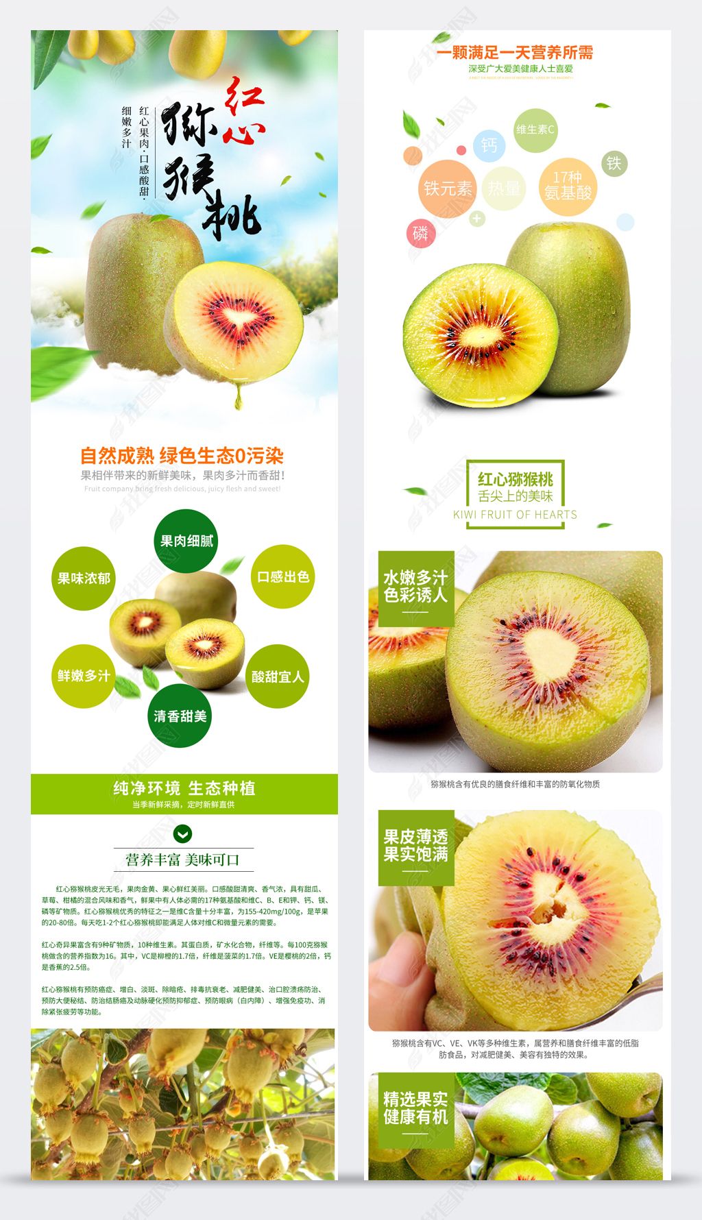 原創2019白綠色蒲江紅心綠心黃心獼猴桃奇異果詳情psd-版權可商用