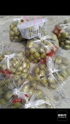 快來犀牛山采摘紅心獼猴桃啦