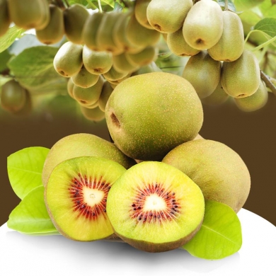紅心獼猴桃 品味蒼溪的天然綠色珍品