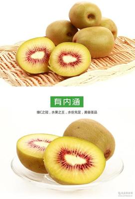 紅心獼猴桃 營養與健康的多重益處