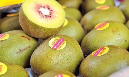 超甜多汁的蒲江紅心獼猴桃，火爆熱銷20000件等你來嘗