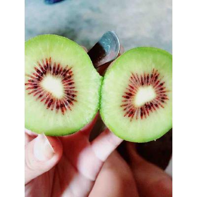 小釹果園 專業紅心獼猴桃供應商，中國惠農網優質批發之選